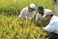 NSC đặt tham vọng doanh thu 2.000 tỷ đồng